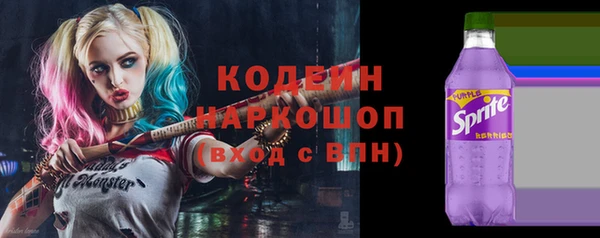сатива Бронницы