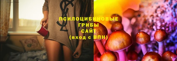 амф Бородино