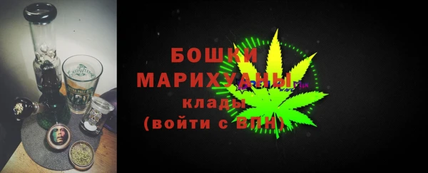 сатива Бронницы