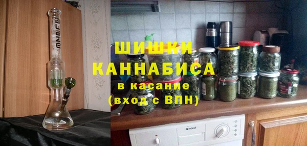 амф Бородино
