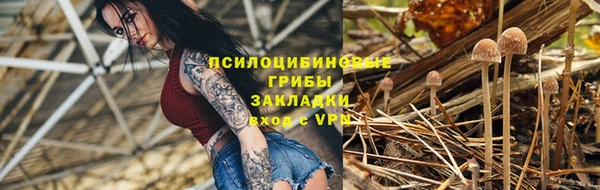 амф Бородино