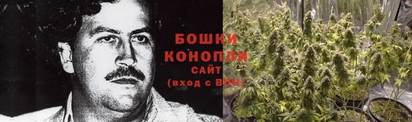 мяу мяу мука Богданович