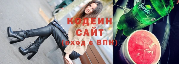 амф Бородино