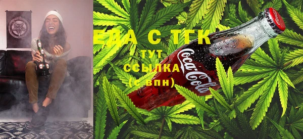 сатива Бронницы