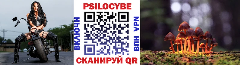MEGA ТОР  Кедровый  Галлюциногенные грибы GOLDEN TEACHER 